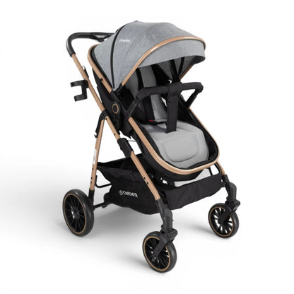 Coche Bebesit Jumbo TS con Baby Silla Ruedas Todo Terreno
