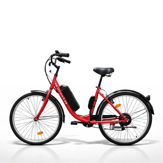 Bicicleta Electrica Asistida 250w
