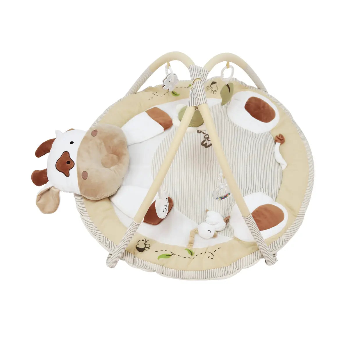 Gimnasio Didáctico Carestino