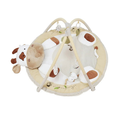 Gimnasio Didáctico Carestino