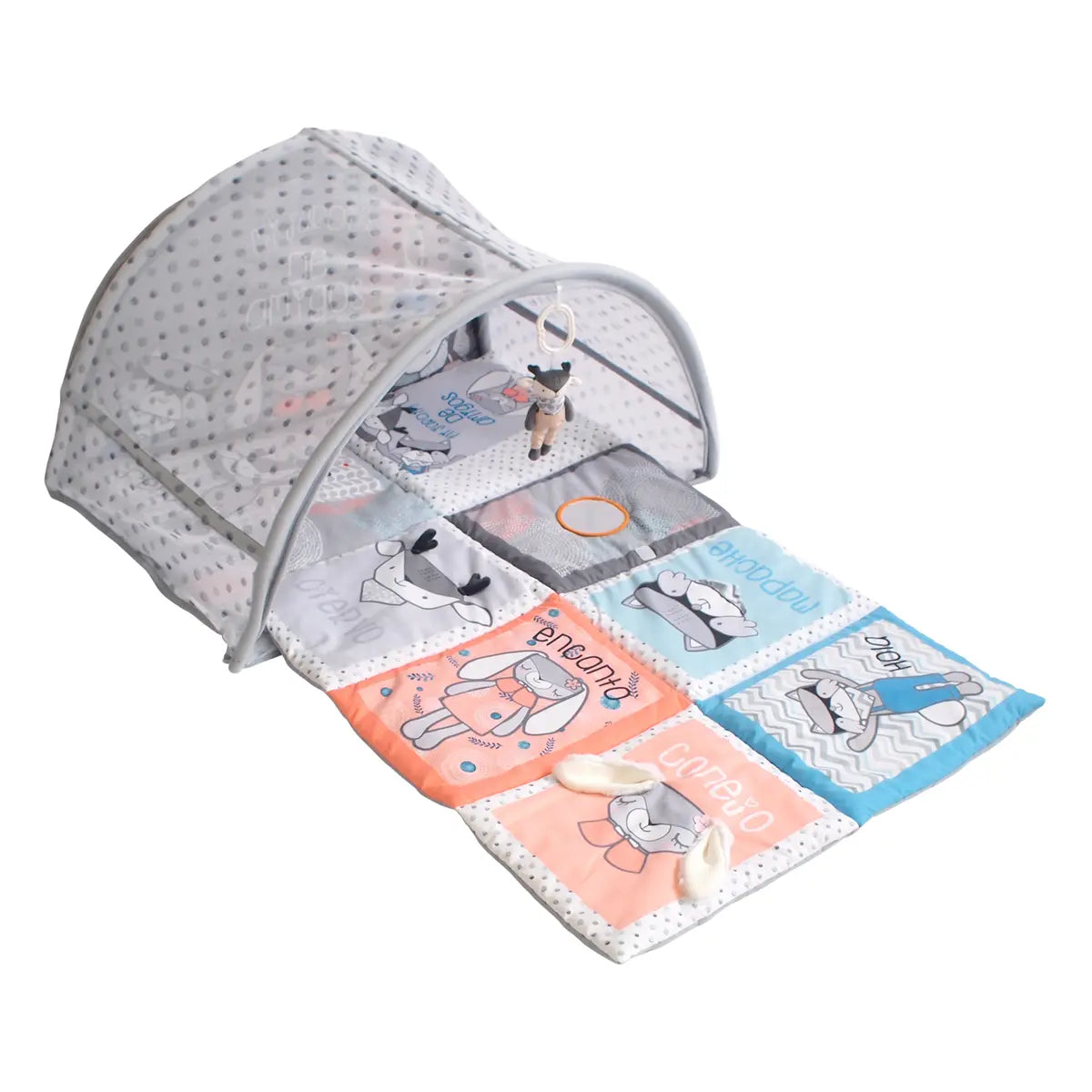 Gimnasio Didáctico Multifunción Carestino